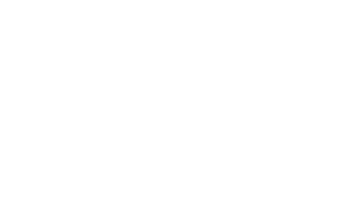 Expert Vet